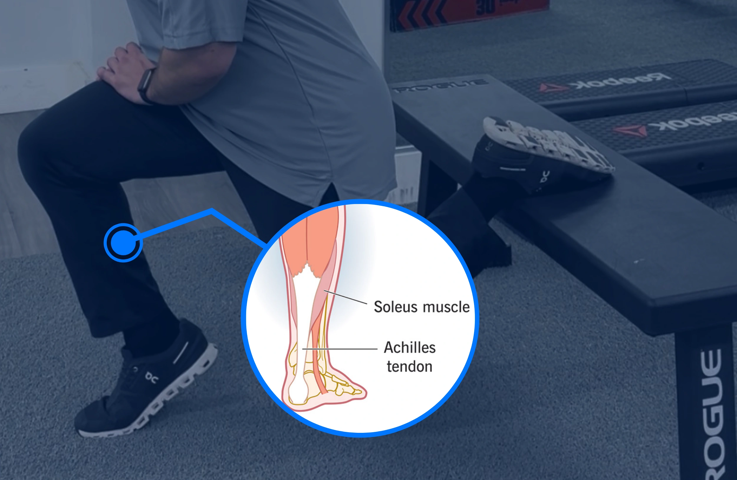Soleus Exercises